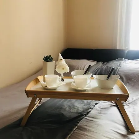 Nádor Luxury Apartmán *